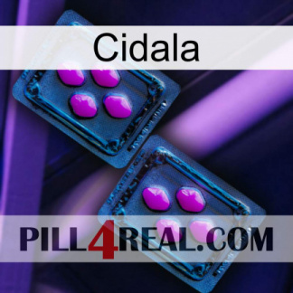 Cidala 03
